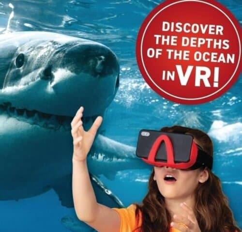 Virtual Reality Toy